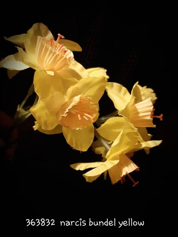 Narcis yellow bundle