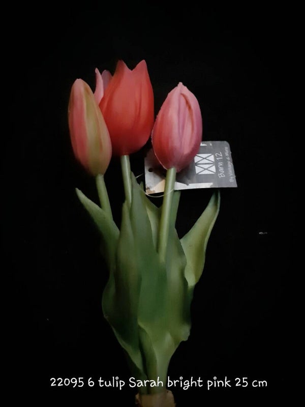 22095 6  tulip Sarah bright pink gaan per 12
