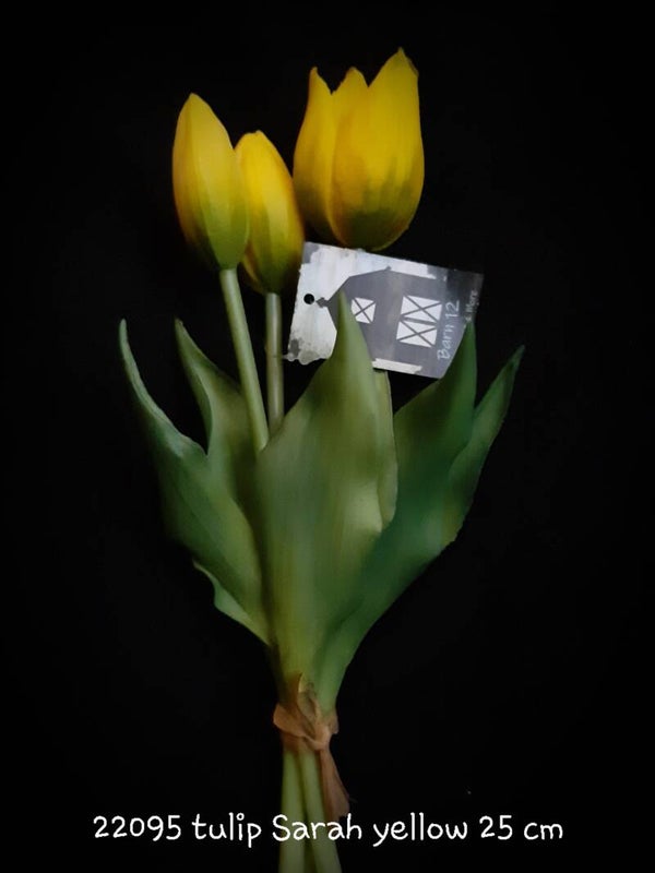 22095 2  tulip Sarah yellow gaan per 12