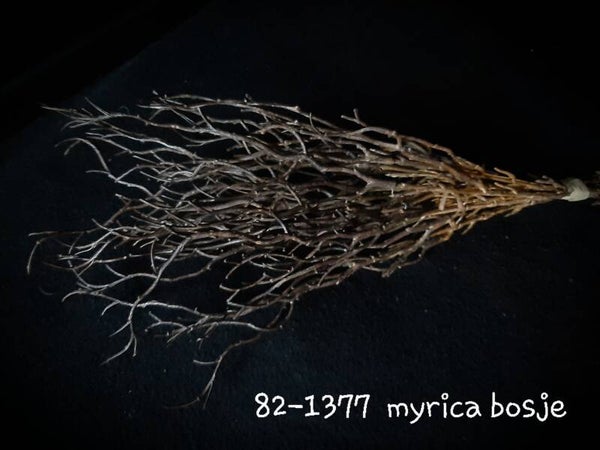 821377  bosbes bruin gaan per 12