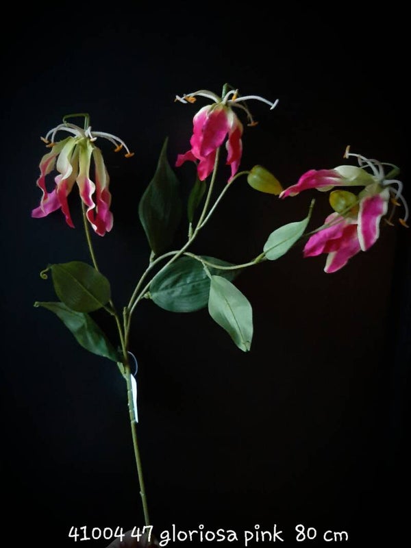41004 47 gloriosa pink 75 cm