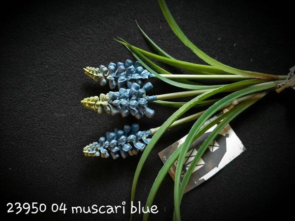 23950 04 blauwe druifjes per 6 bosjes