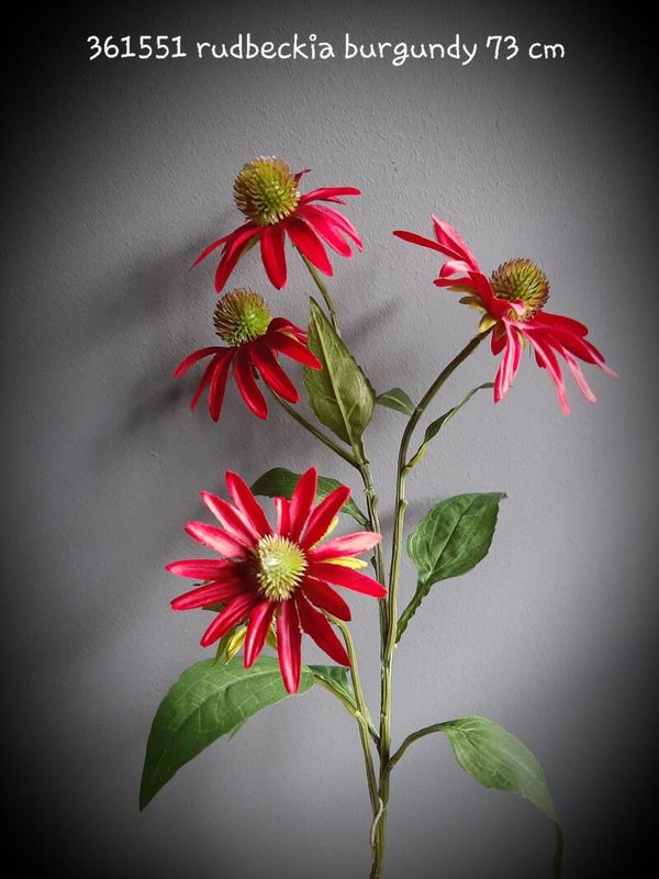 361551 rudbeckia burgundy 73 cm