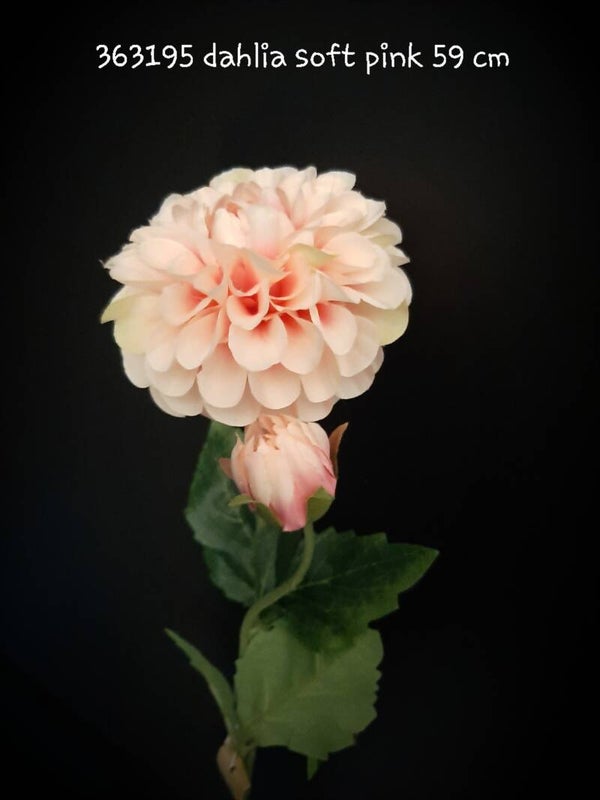 363194 dahlia pink
