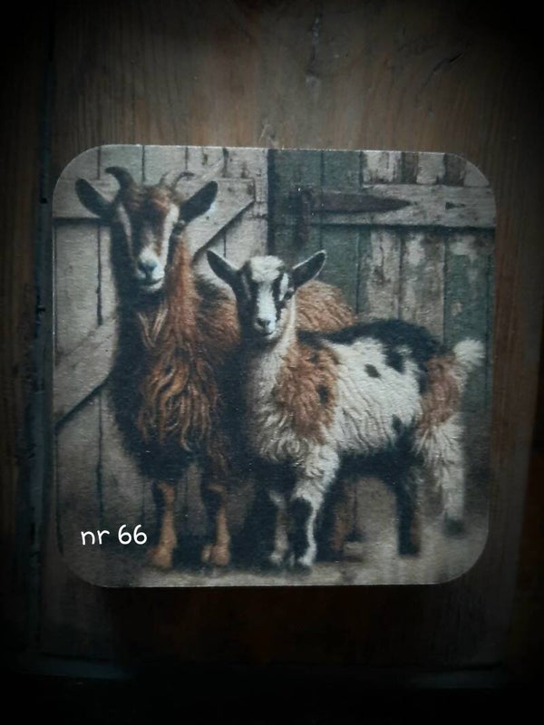 Viltje nr 66 geitjes