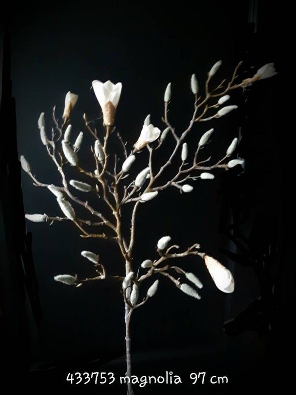 Magnolia 98 cm