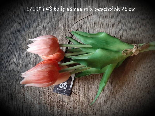 121907 48 tulip esmee peachpink 5 stelen gaan per 12