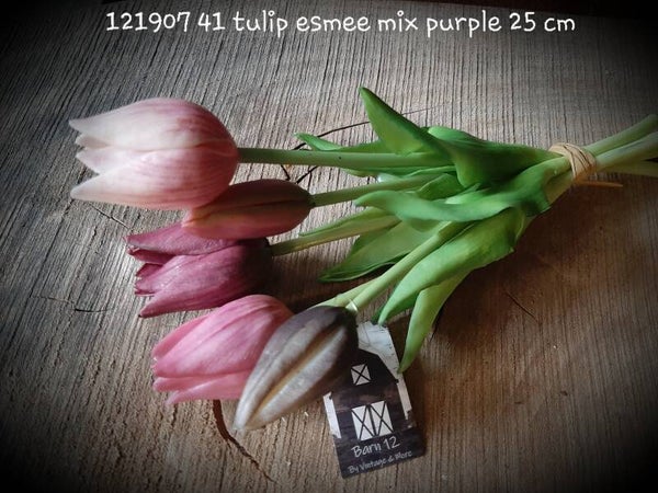 121907 41 tulip esmee 5 stelen mix purple gaan per 12