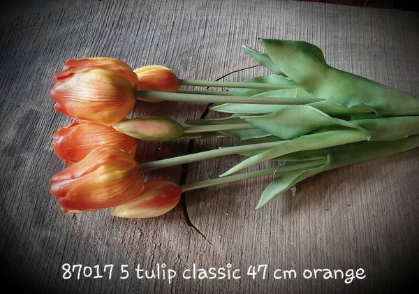 87017 5 tulp classic narangi 7 stelen per 6 bos