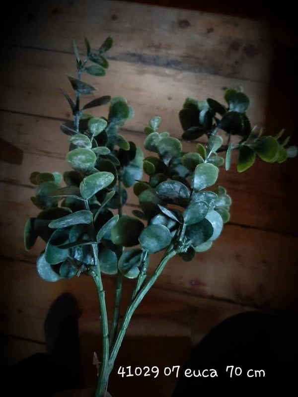 6 x 41029 07 euca baby blue greygreen 70 cm