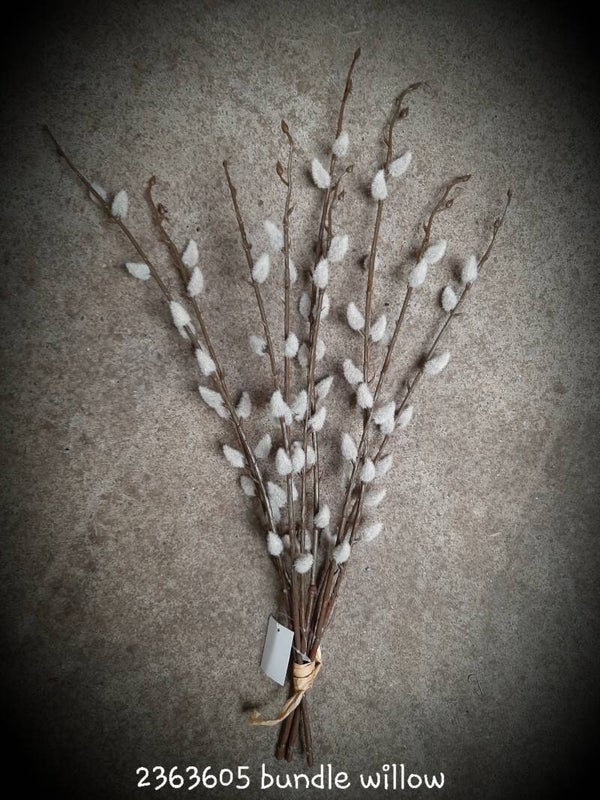 23636 05 bundel katjes/willow