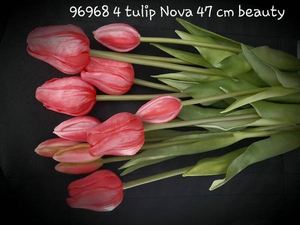 96968 4 tulip Nova 12stelen beauty per 6 ds