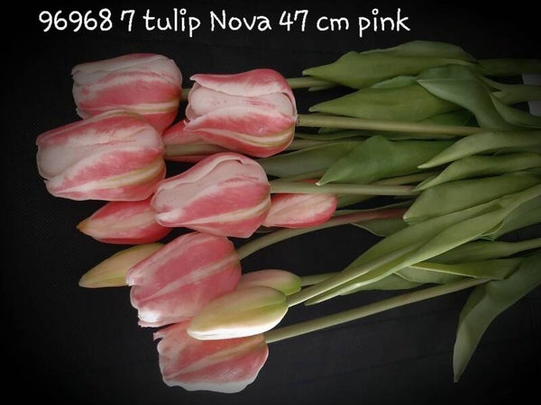 96968 7 tulip Nova 12stelen pink per 6 ds