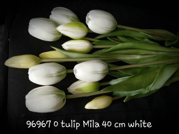 96967 0 tulip Mila 40 cm in doos per 6 doosjes