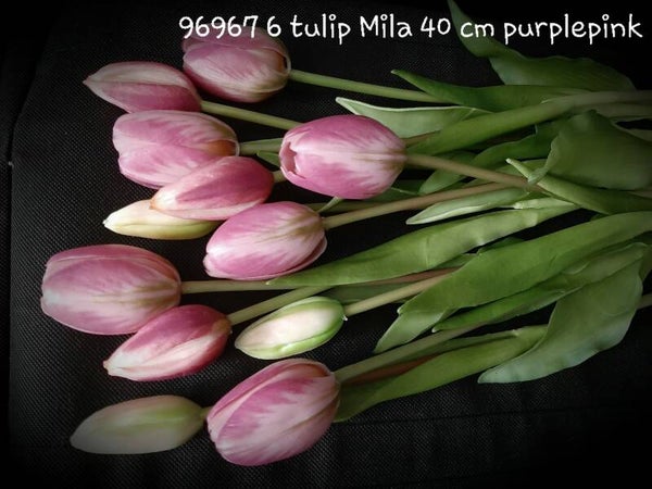 96967 6 tulip Mila 40 cm in doos per 6 ds purple