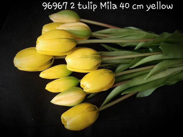 96968 2 tulip Nova 12stelen yellow per 6 ds