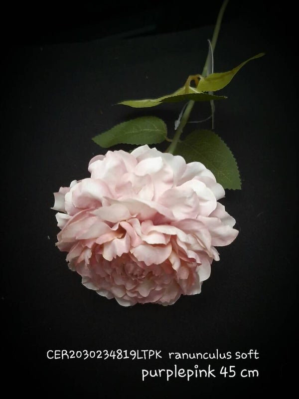 2030234819ltpk ranunculus soft pink