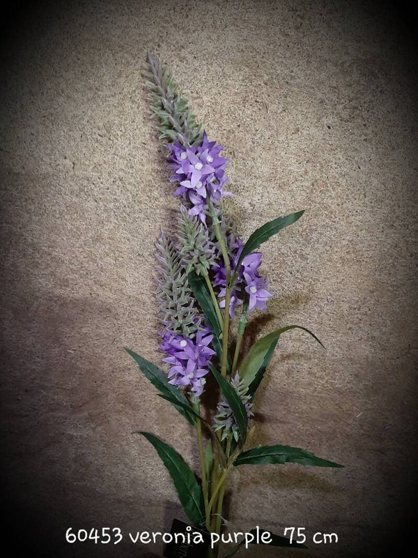 60453 veronica purple 75 cm