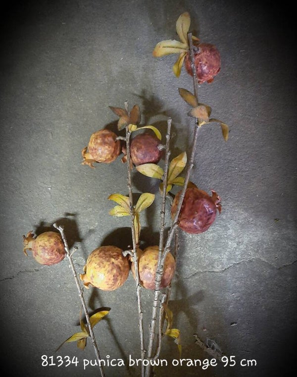 81334 punica brown orange 95 cm