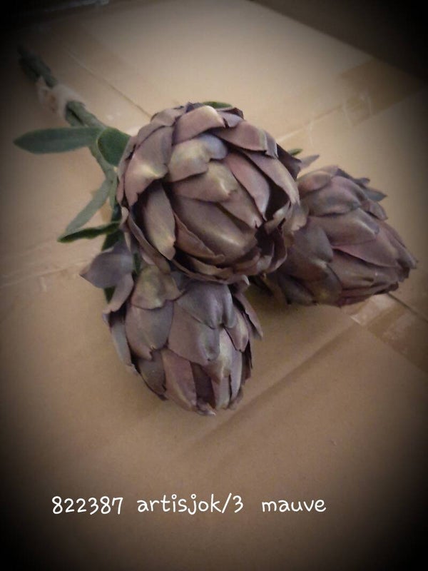 822386 artisjok  purple  ( 2 - b  )