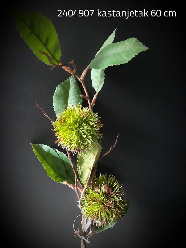 2404907 kastanjetak 60 cm