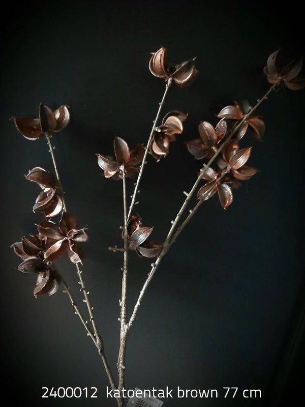 2400012  katoentak brown 77 cm
