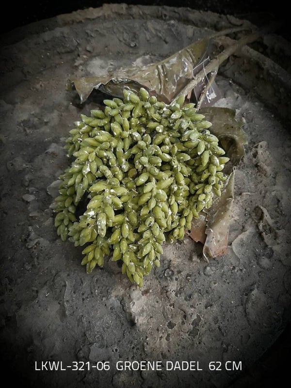 LKWL-321-06  groene dadel tros  62 cm