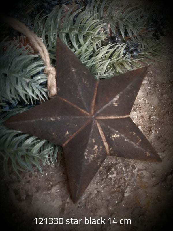 121330 star wood 14 cm gaan per 2