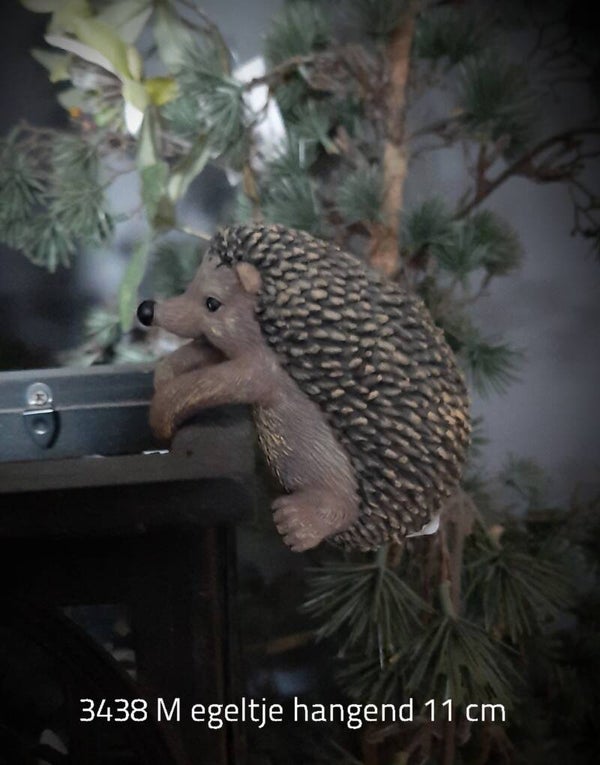 3438M egel hangend M gaan per 12 of per stuk