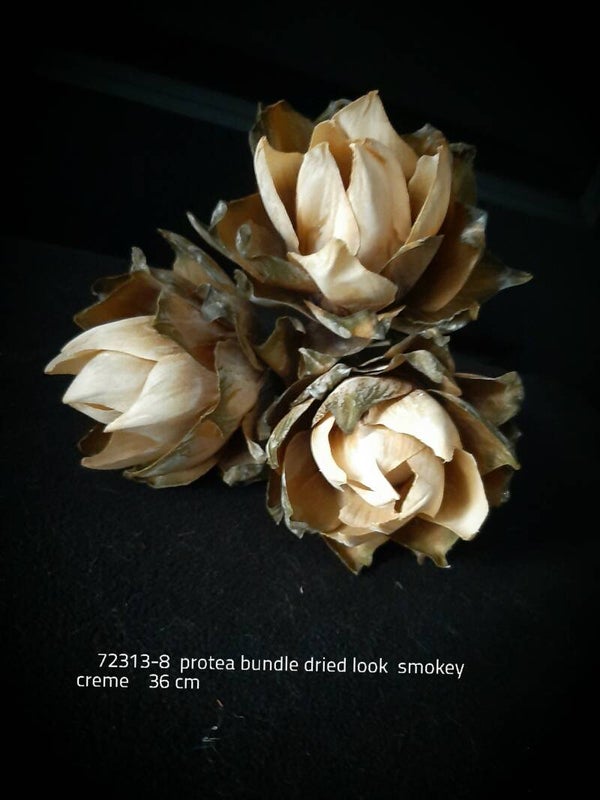 72313-8 protea bundle creme brown