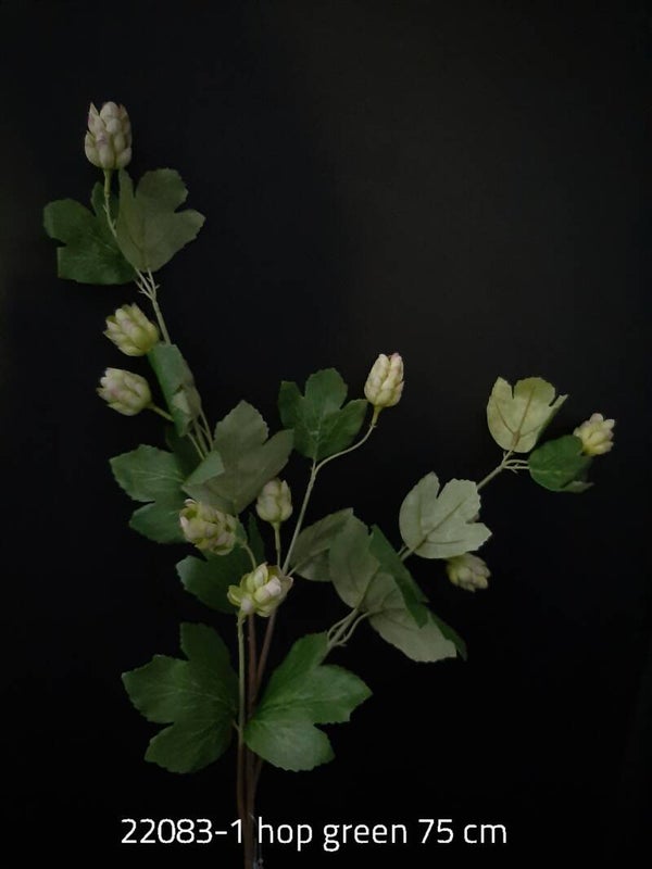 22083-1 hop green 76 cm