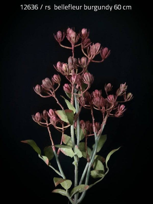 12636  bellefleur dark pink