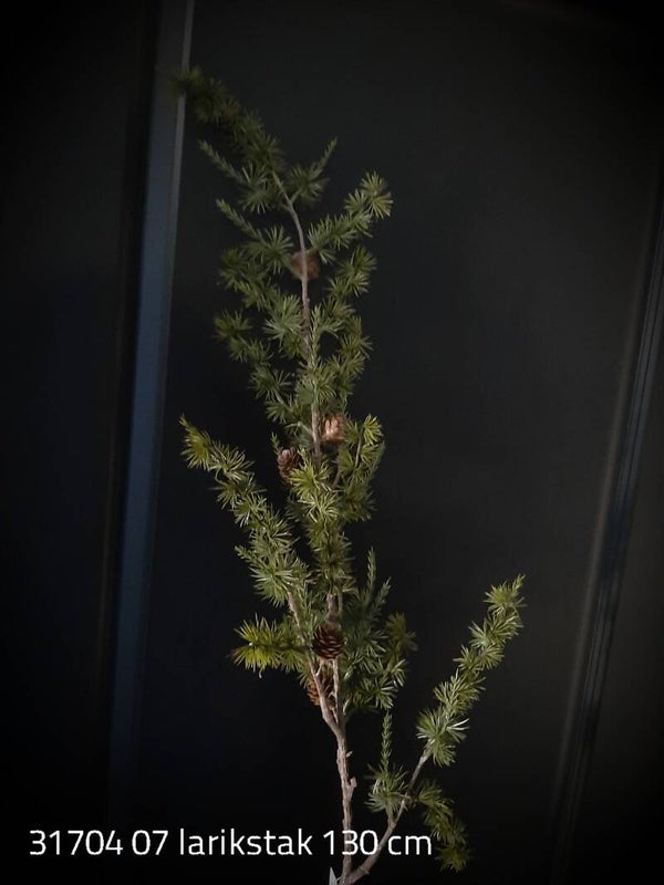 31704 07 larikstak met denneappels