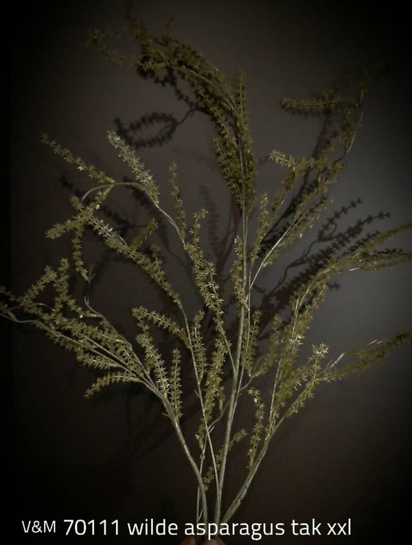 V&Mwilde asparagus xxl 120 cm green