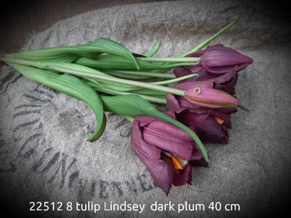 22512 8 tulip Lindsey  dark plum gaan per 6