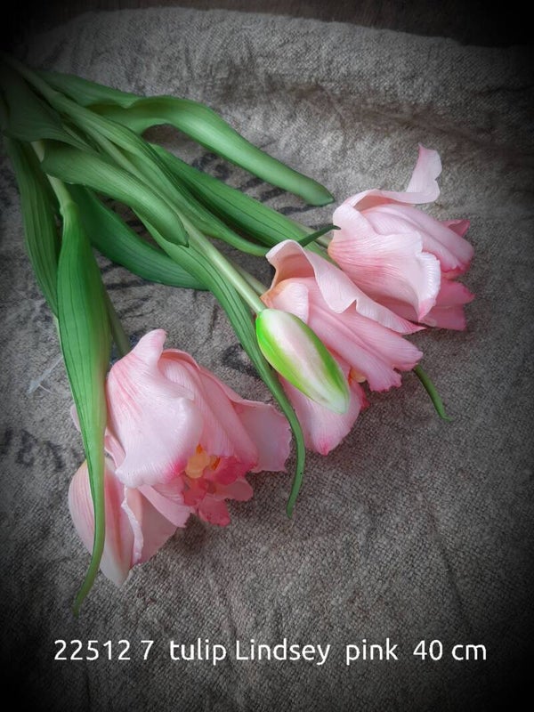 22512 7 tulip Lindseysoft   pink gaan per 6