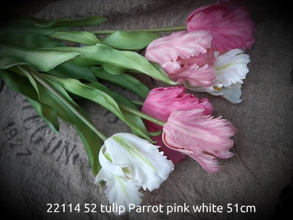 22114 52 parrot tulip pink