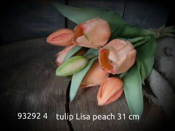 93292 4 tulip Lisa 31 cm gaan per 12  bos peach