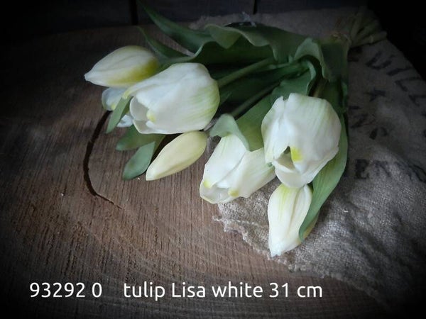93292 0 tulip Lisa 31 cm gaan per 12  bos white