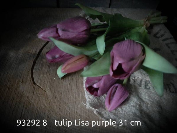 93292 8 tulip Lisa 31 cm gaan per 12  bos purple