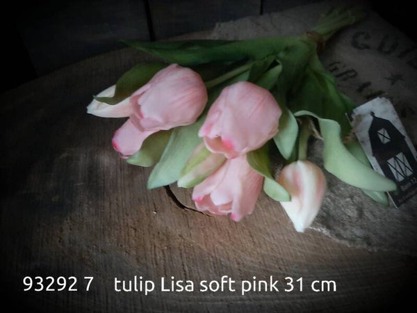 93292 7 tulip Lisa 31 cm gaan per 12  bos soft pink
