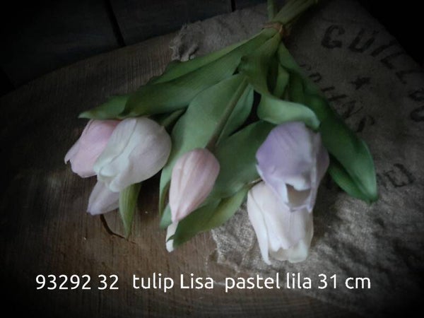 93292 32 tulp Lisa 31 cm gaan per 12  bos lila mix