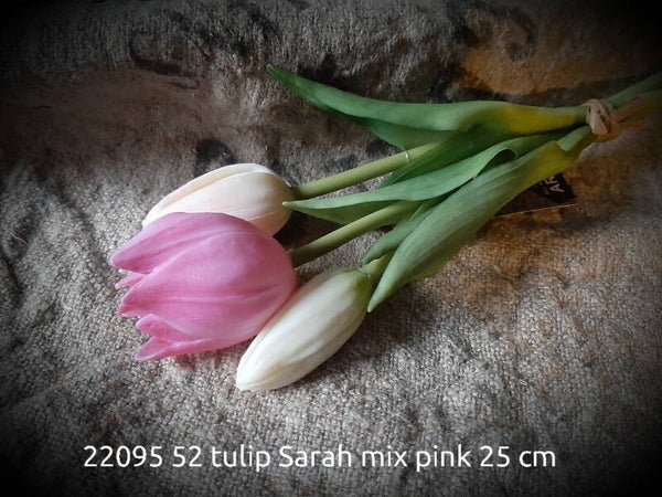 22095 52 tulip Sarah pinkwhite gaan per 12