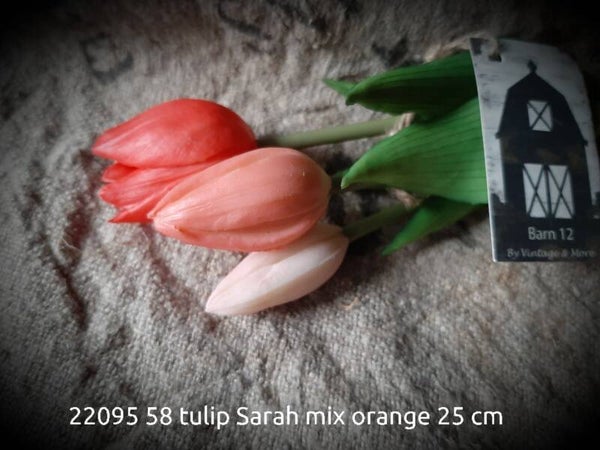 22095 58  tulip Sarah combo orange gaan per 12