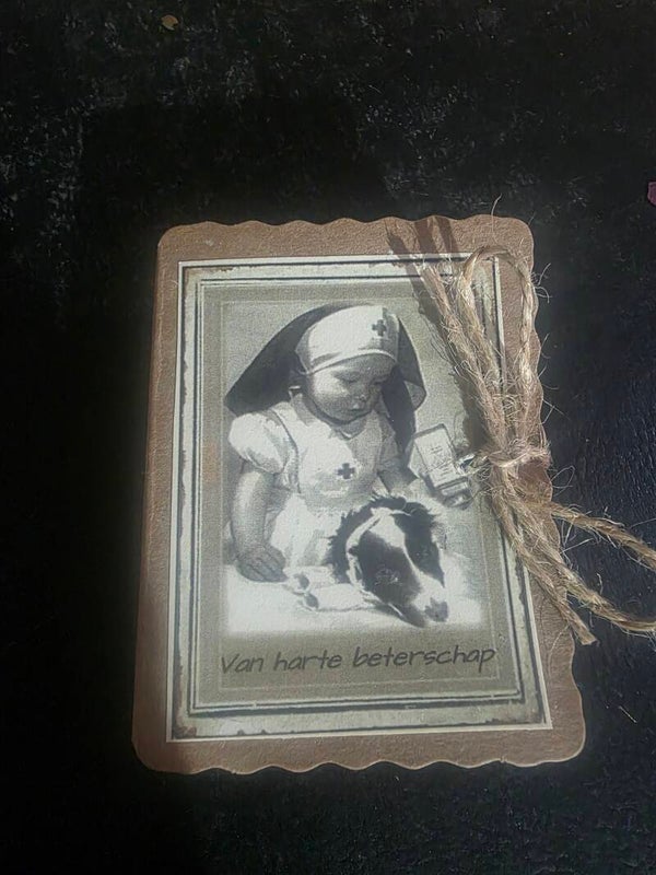 Z003 zoopie zustertje van harte beterschap per 4