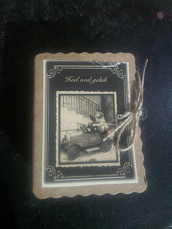 Z006 zoopie kindjes in auto veel geluk per 4