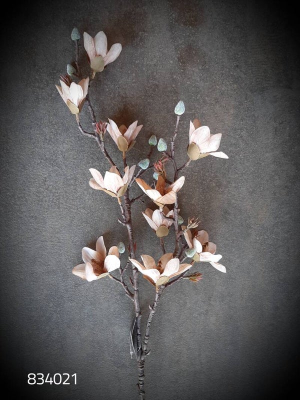 834021 magnolia vintage brown