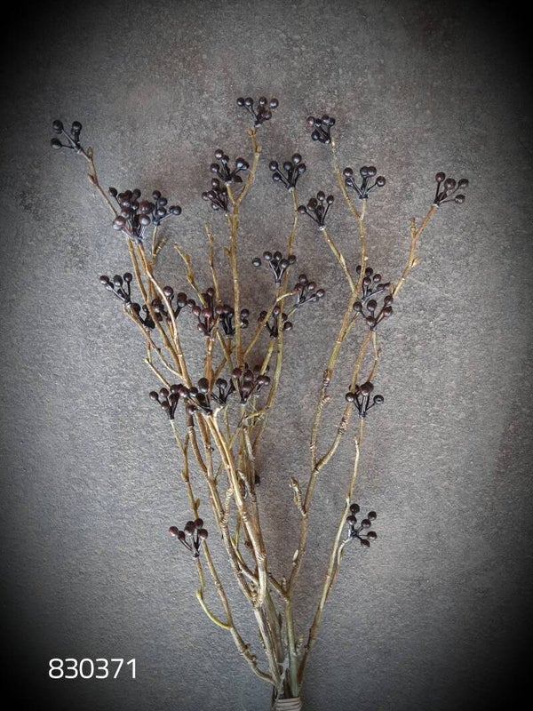 830371 bundle viburnum bes black