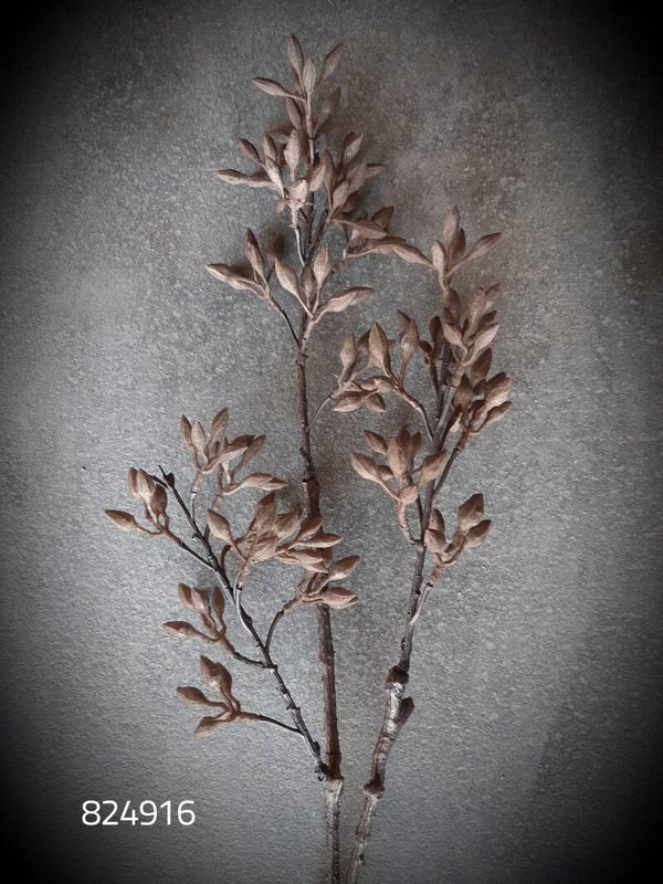 824916 euca bes brown