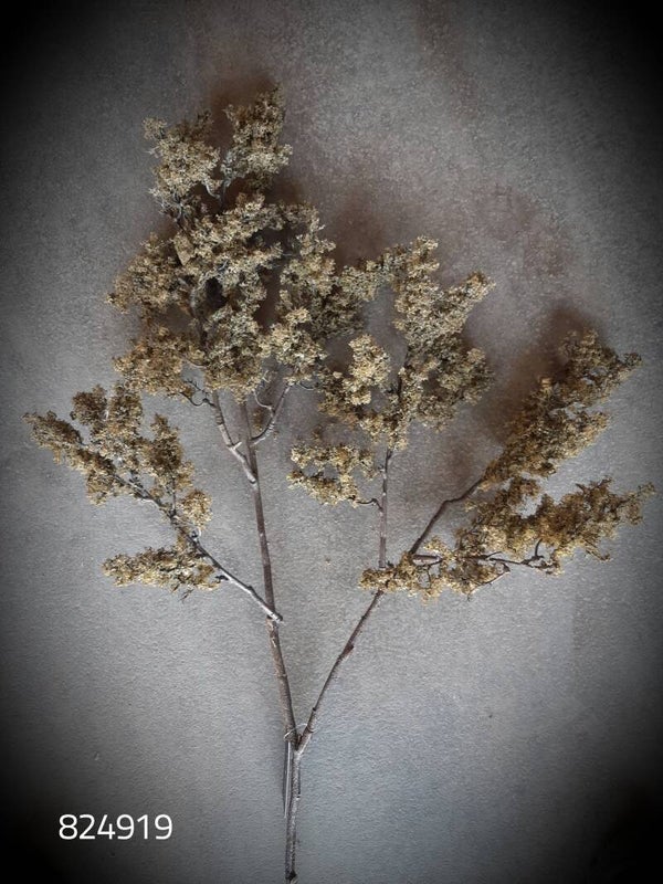 824919 spirea japonica